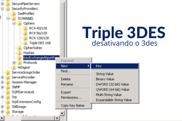 Como desativar o TRIPLE 3DES - PCI DSS